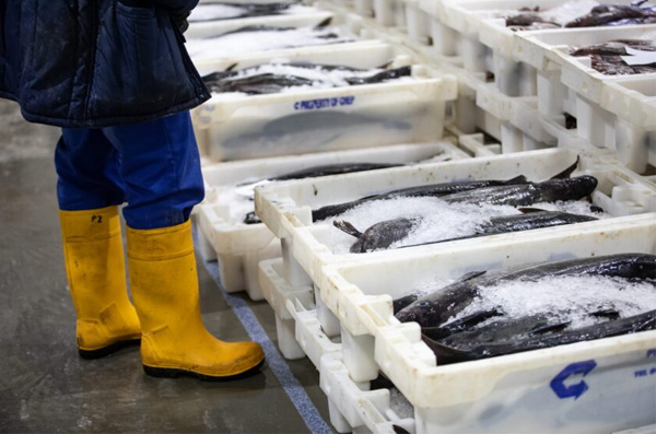 Cold chain logistics
