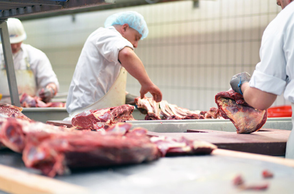 Meat processing plants