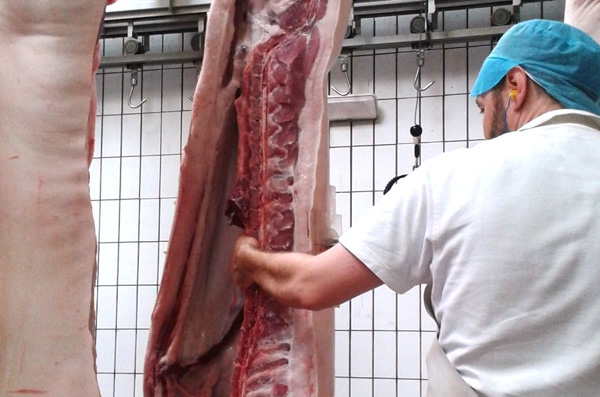 Slaughterhouses