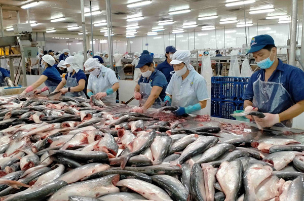 Fish processing plants
