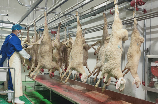 Sheep & goat abattoirs