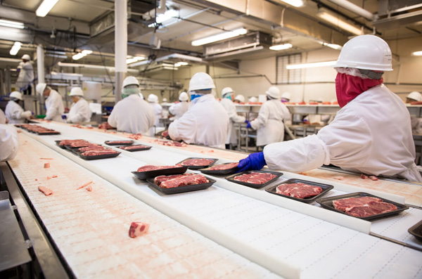 Export-oriented meat facilities